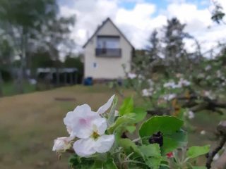 Eladó 120 m²-escsaládi ház Ráckeve, Ráckeve Új telep: 65'000'000 Ft