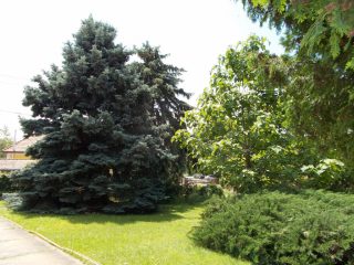 Eladó 154 m²-escsaládi ház Ráckeve, Sándor tér: 130'000'000 Ft