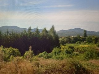 Eladó 2205 m²-estelek Recsk, Hunyadi János út: 2'300'000 Ft