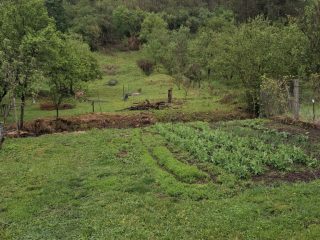 Eladó 90 m²-escsaládi ház Sajómercse, Rákóczi út: 16'000'000 Ft