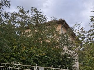 Eladó 120 m²-escsaládi ház Sajónémeti, Szabadság utca: 9'900'000 Ft