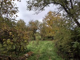 Eladó 120 m²-escsaládi ház Sajónémeti, Szabadság utca: 9'900'000 Ft