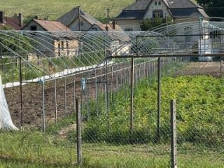 Eladó 90 m²-escsaládi ház Sajópüspöki, Rákóczi út: 20'000'000 Ft