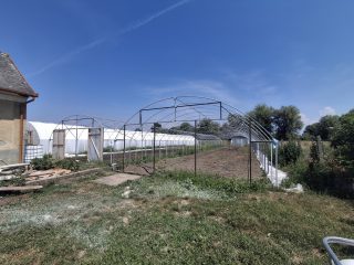 Eladó 90 m²-escsaládi ház Sajópüspöki, Rákóczi út: 20'000'000 Ft