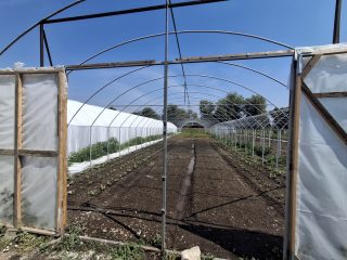 Eladó 90 m²-escsaládi ház Sajópüspöki, Rákóczi út: 20'000'000 Ft