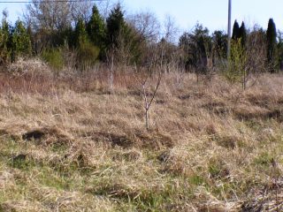 Eladó 5574 m²-estelek Siófok, Békásdűlő dűlő: 32'000'000 Ft