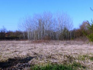 Eladó 5574 m²-estelek Siófok, Békásdűlő dűlő: 32'000'000 Ft