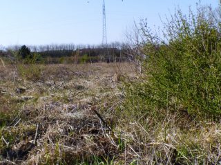 Eladó 5574 m²-estelek Siófok, Békásdűlő dűlő: 32'000'000 Ft