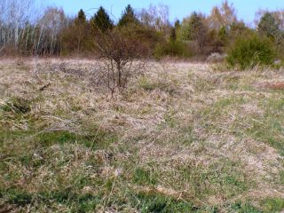 Eladó 5574 m²-estelek Siófok, Békásdűlő dűlő: 32'000'000 Ft