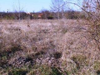 Eladó 5574 m²-estelek Siófok, Békásdűlő dűlő: 32'000'000 Ft