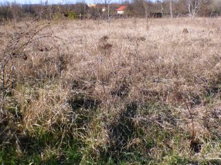 Eladó 5574 m²-estelek Siófok, Békásdűlő dűlő: 32'000'000 Ft