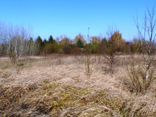 Eladó 5574 m²-estelek Siófok, Békásdűlő dűlő: 32'000'000 Ft