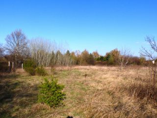 Eladó 5574 m²-estelek Siófok, Békásdűlő dűlő: 32'000'000 Ft