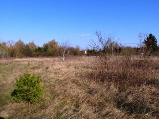 Eladó 5574 m²-estelek Siófok, Békásdűlő dűlő: 32'000'000 Ft