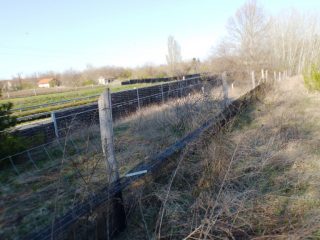 Eladó 5574 m²-estelek Siófok, Békásdűlő dűlő: 32'000'000 Ft