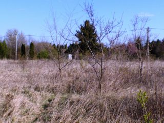 Eladó 5574 m²-estelek Siófok, Békásdűlő dűlő: 32'000'000 Ft