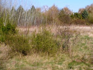 Eladó 5574 m²-estelek Siófok, Békásdűlő dűlő: 32'000'000 Ft