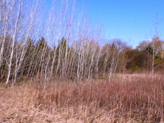 Eladó 5574 m²-estelek Siófok, Békásdűlő dűlő: 32'000'000 Ft