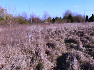 Eladó 5574 m²-estelek Siófok, Békásdűlő dűlő: 32'000'000 Ft