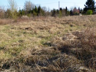 Eladó 5574 m²-estelek Siófok, Békásdűlő dűlő: 32'000'000 Ft