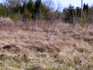 Eladó 5574 m²-estelek Siófok, Békásdűlő dűlő: 32'000'000 Ft