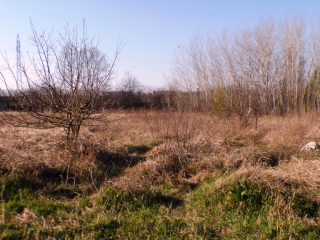 Eladó 5574 m²-estelek Siófok, Békásdűlő dűlő: 32'000'000 Ft