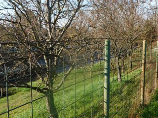 Eladó 200 m²-escsaládi ház Siófok (Siófok) , Városi utca: 99'000'000 Ft