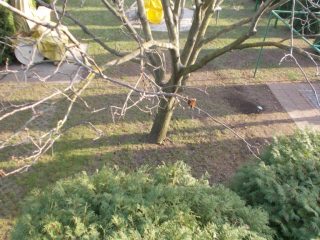 Eladó 168 m²-escsaládi ház Siófok, Szabadifürdő: 150'000'000 Ft