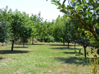 Eladó 168 m²-escsaládi ház Siófok, Szabadifürdő: 150'000'000 Ft