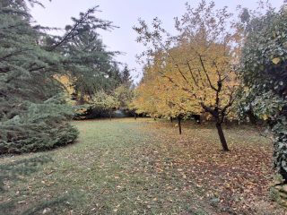 Eladó 123 m²-escsaládi ház Siófok, Szabadifürdő: 150'000'000 Ft