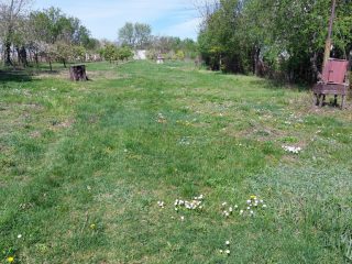 Eladó 1660 m²-esmezőgazdasági ingatlan Siófok, Szabadifürdő: 26'000'000 Ft