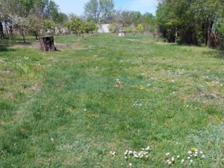 Eladó 1660 m²-esmezőgazdasági ingatlan Siófok, Szabadifürdő: 26'000'000 Ft