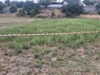 Eladó 726 m²-estelek Siójut, Csendes utca: 8'000'000 Ft