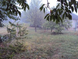 Eladó 1280 m²-estelek Székesfehérvár, Lőcsei utca: 60'000'000 Ft