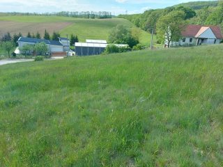 Eladó 1500 m²-estelek Szendehely, Rét utca: 25'000'000 Ft