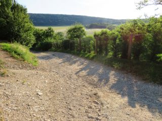 Eladó 3178 m²-esmezőgazdasági ingatlan Szentantalfa, Külterület: 16'800'000 Ft