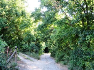 Eladó 3178 m²-esmezőgazdasági ingatlan Szentantalfa, Külterület: 16'800'000 Ft