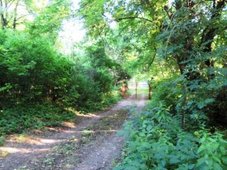 Eladó 3178 m²-esmezőgazdasági ingatlan Szentantalfa, Külterület: 16'800'000 Ft