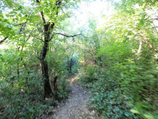 Eladó 3178 m²-esmezőgazdasági ingatlan Szentantalfa, Külterület: 16'800'000 Ft