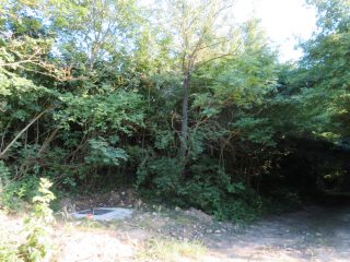 Eladó 3178 m²-esmezőgazdasági ingatlan Szentantalfa, Külterület: 16'800'000 Ft