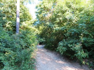 Eladó 3178 m²-esmezőgazdasági ingatlan Szentantalfa, Külterület: 16'800'000 Ft