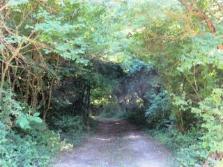 Eladó 3178 m²-esmezőgazdasági ingatlan Szentantalfa, Külterület: 16'800'000 Ft