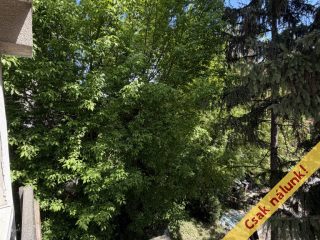 Eladó 28 m²-estársasházi lakás Szentendre, Ady Endre utca: 30'900'000 Ft