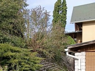 Eladó 80 m²-escsaládi ház Szentendre, Alkony utca: 119'900'000 Ft