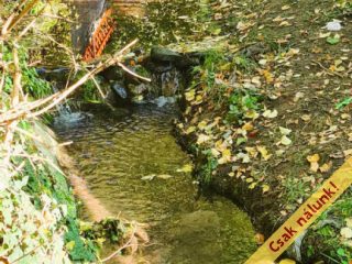 Eladó 135 m²-essorház Szentendre, Hóvirág utca: 148'000'000 Ft