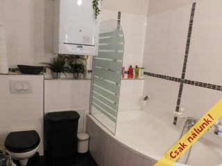 Eladó 117 m²-escsaládi ház Szentendre, Napos sétány: 120'000'000 Ft