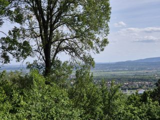 Eladó 788 m²-estelek Szentendre, Panoráma út: 44'000'000 Ft