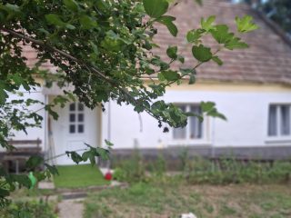 Eladó 110 m²-escsaládi ház Szentgál, Saroktelek: 39'000'000 Ft