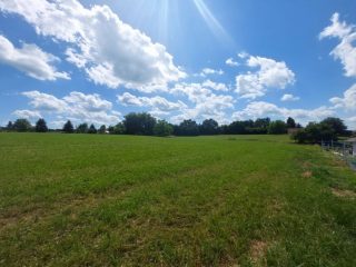 Eladó 17936 m²-estelek Szentgotthárd, Szentgotthárd út: 99'000'000 Ft