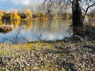 Eladó 683 m²-estelek Szigetcsép, Dunasor közeli utca: 45'000'000 Ft